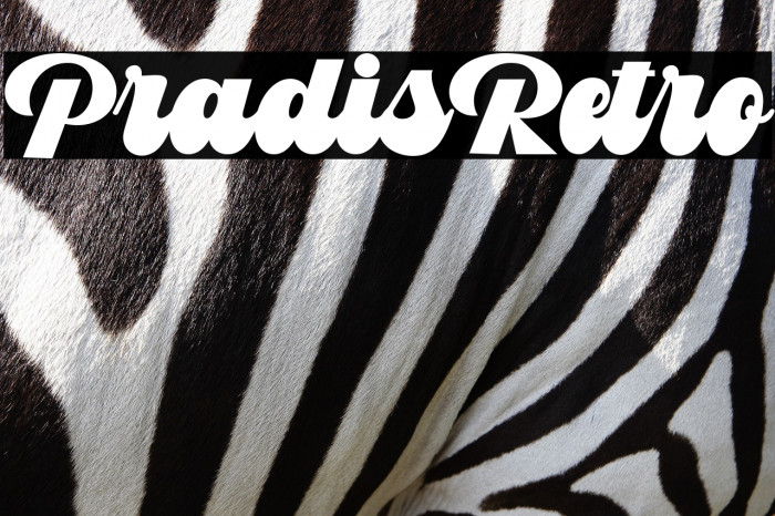 PradisRetro Example 3