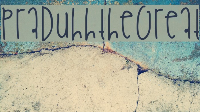 PraduhhTheGreat Example 2