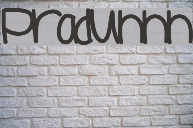 Praduhhh Example 1