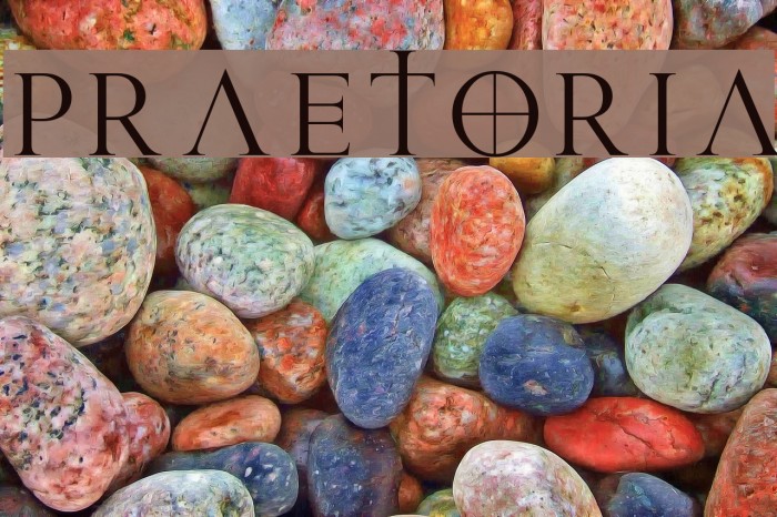 Praetoria Font examples