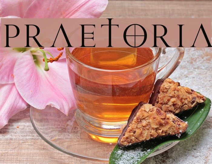 Praetoria Font examples