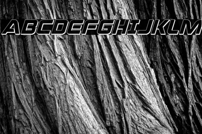 Praetorian 3D Italic Font examples