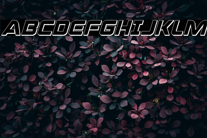 Praetorian 3D Italic Example 3