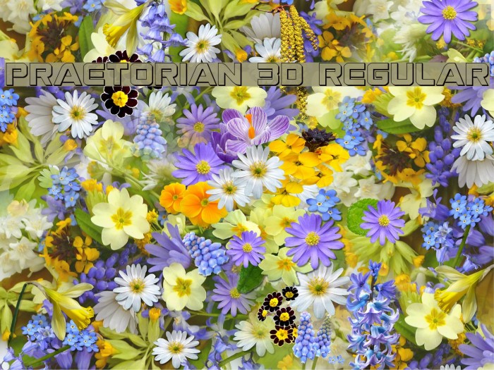 Praetorian 3D Regular Font examples