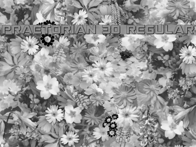 Praetorian 3D Regular Font examples