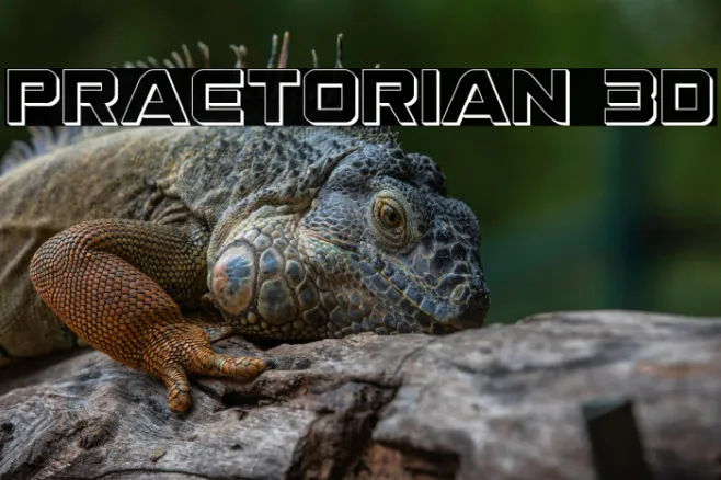 Praetorian 3D Example 1