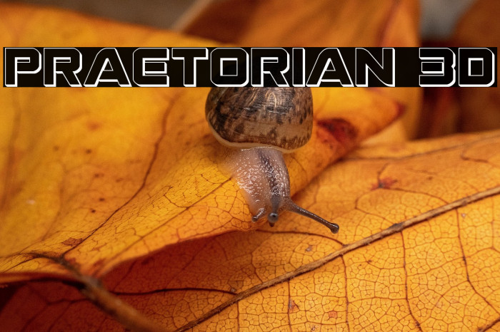 Praetorian 3D Example 3