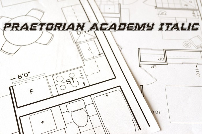 Praetorian Academy Italic Font examples