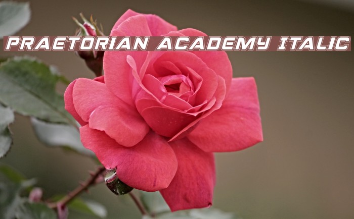 Praetorian Academy Italic Font examples