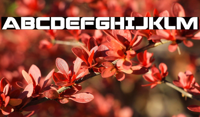 Praetorian Bold Expanded Example 1