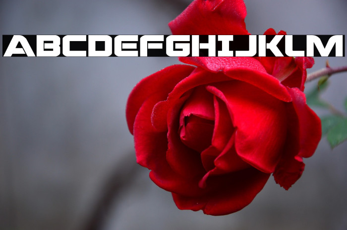 Praetorian Bold Expanded Example 2