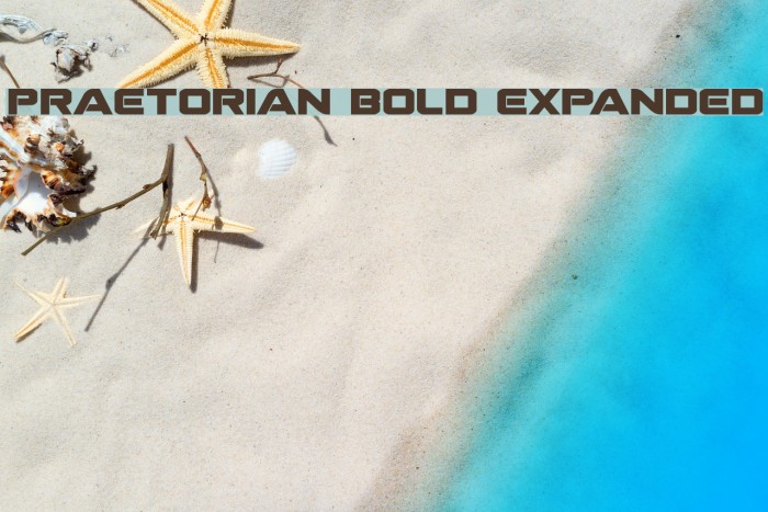 Praetorian Bold Expanded Font examples