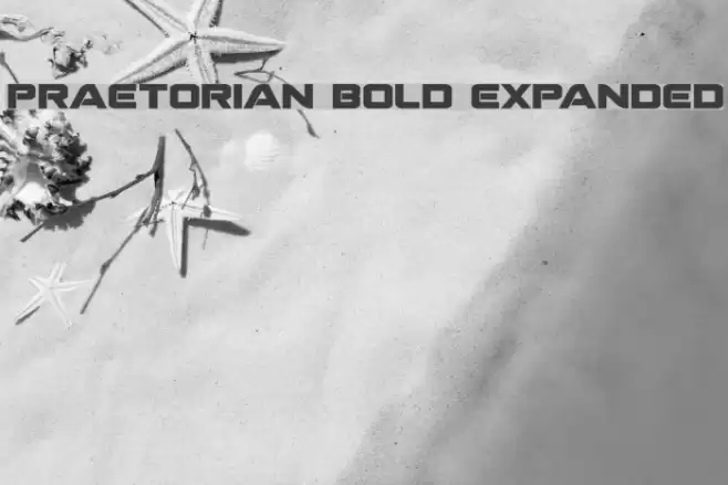 Praetorian Bold Expanded フォント examples
