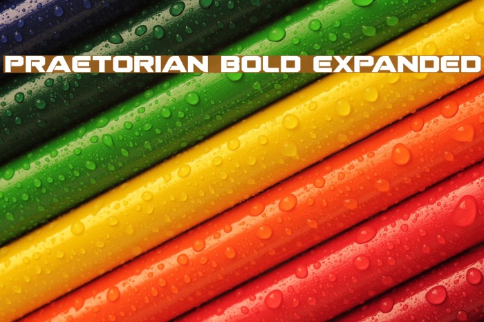 Praetorian Bold Expanded Font examples