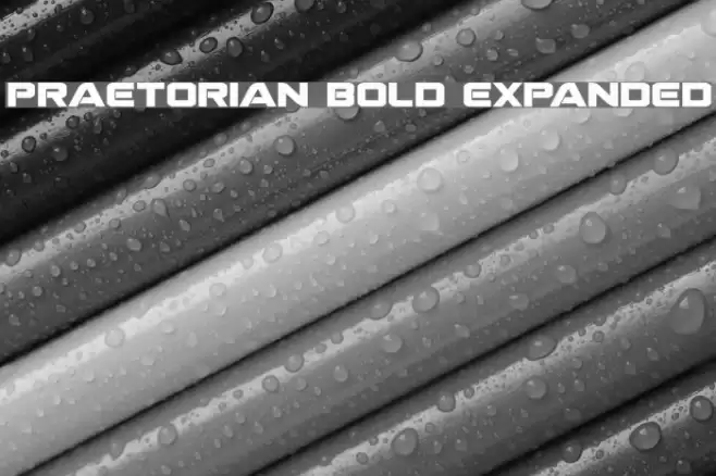 Praetorian Bold Expanded フォント examples
