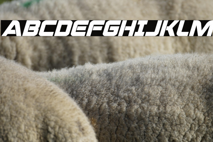 Praetorian Bold Italic Example 1