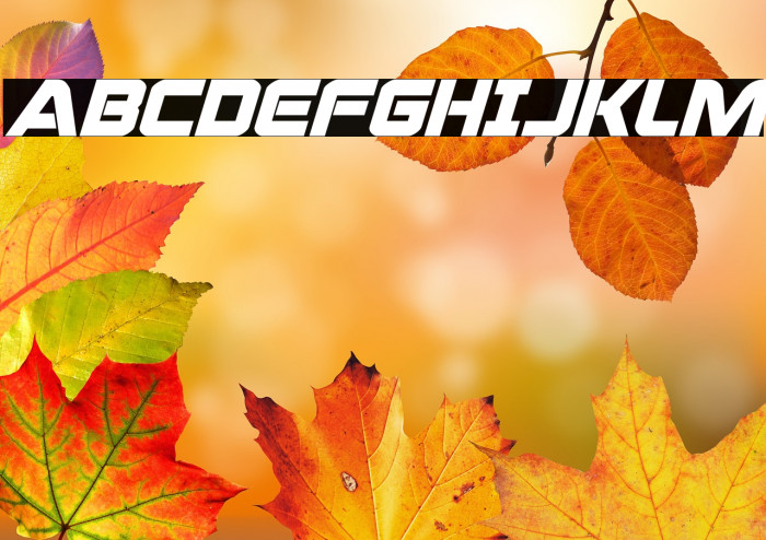 Praetorian Bold Italic Example 2