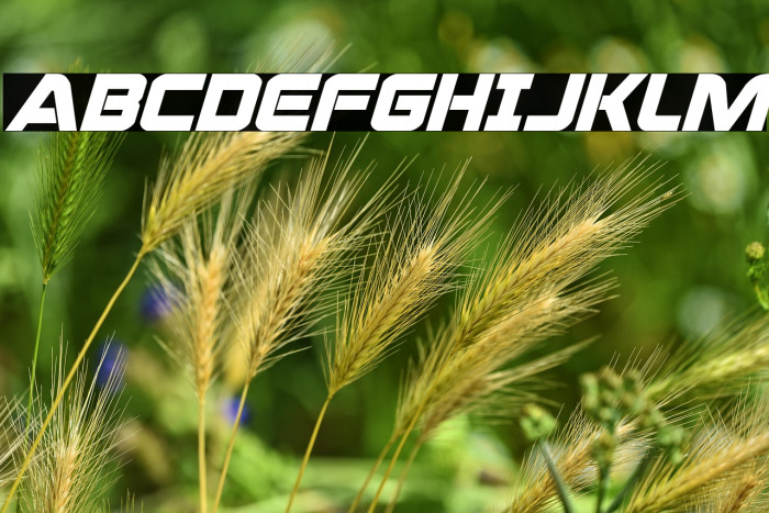 Praetorian Bold Italic Example 3