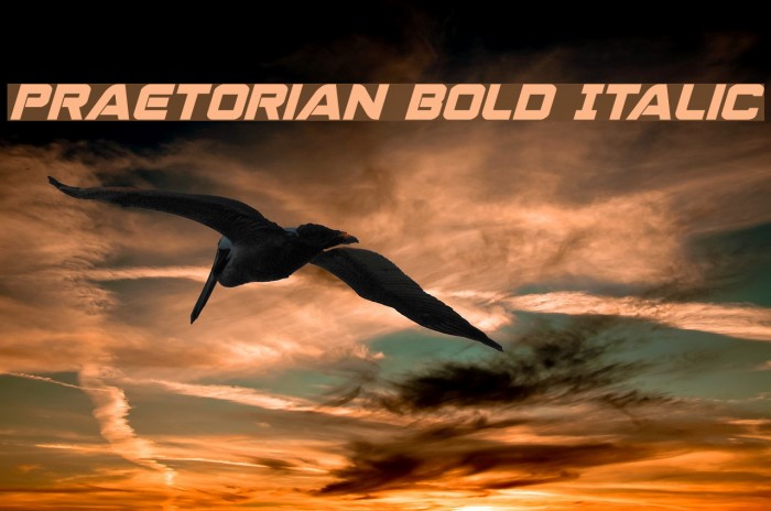 Praetorian Bold Italic フォント examples