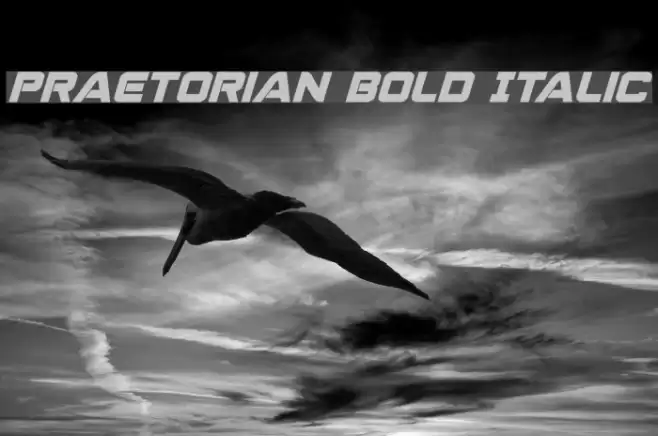 Praetorian Bold Italic examples