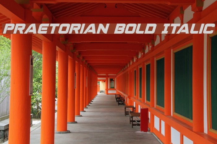 Praetorian Bold Italic フォント examples