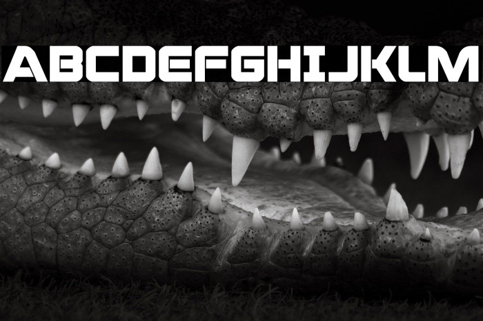 Praetorian Bold Example 1