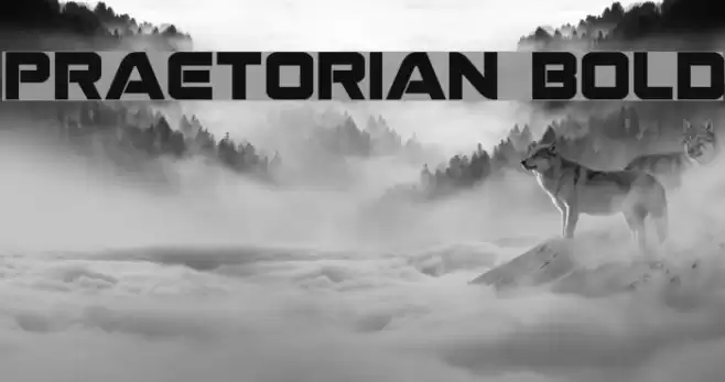 Praetorian Bold Font examples