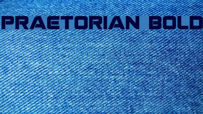 Praetorian Bold Font examples