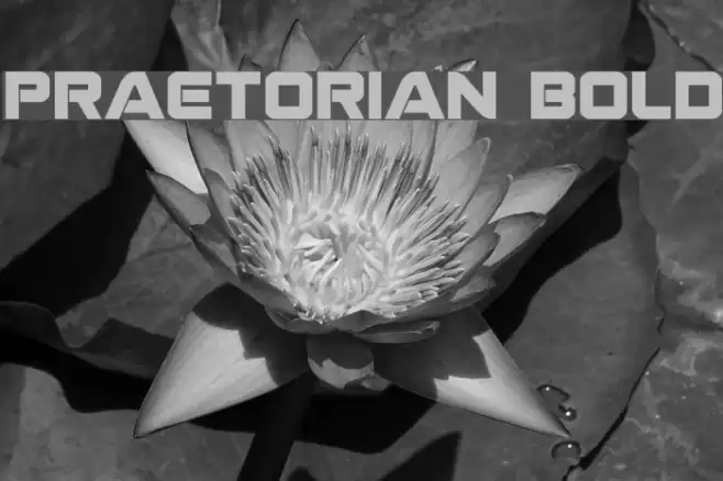 Praetorian Bold Font examples