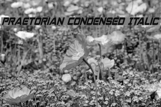 Praetorian Condensed Italic Font examples