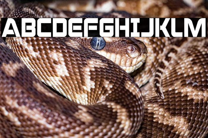 Praetorian Condensed Example 3