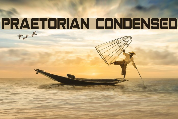 Praetorian Condensed Example 2