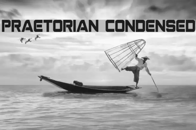 Praetorian Condensed Font examples