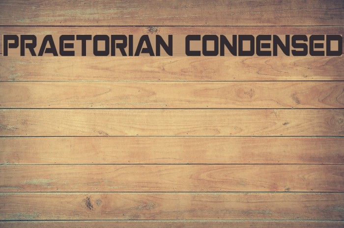 Praetorian Condensed Example 3