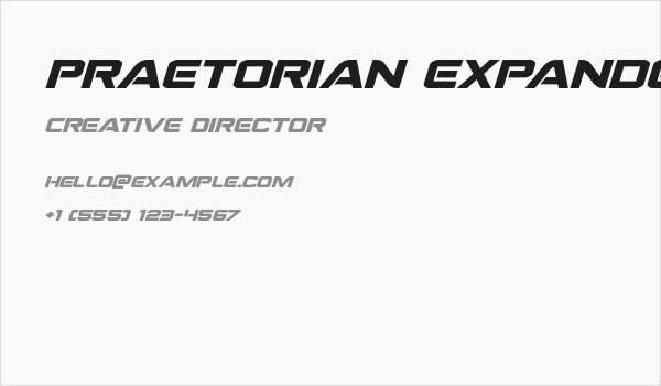 Praetorian Expanded Italic Business Card