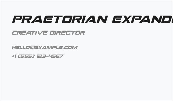 Praetorian Expanded Italic Business Card