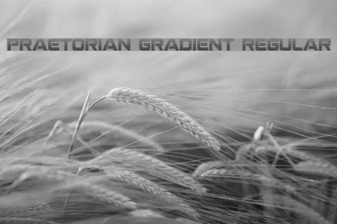 Praetorian Gradient Regular Font examples