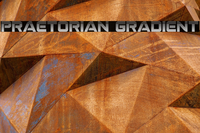 Praetorian Gradient Example 3