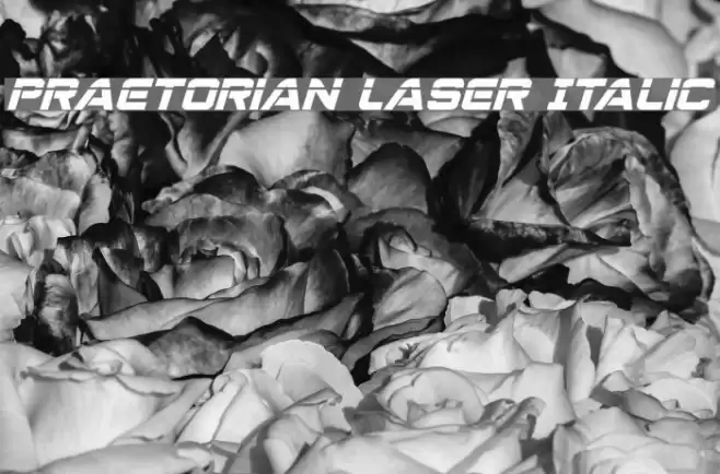 Praetorian Laser Italic Font examples