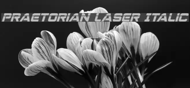 Praetorian Laser Italic Font examples
