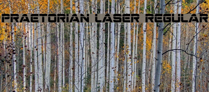 Praetorian Laser Regular Font examples