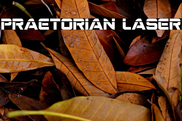 Praetorian Laser Example 2