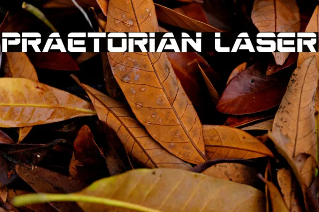Praetorian Laser Example 2