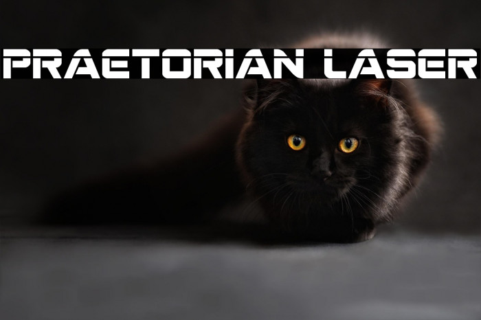 Praetorian Laser Example 3