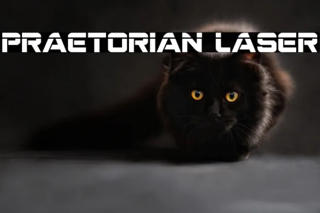 Praetorian Laser Example 3