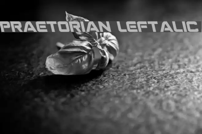 Praetorian Leftalic  examples