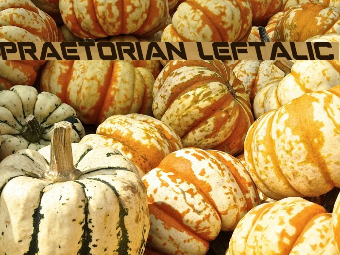 Praetorian Leftalic Font examples