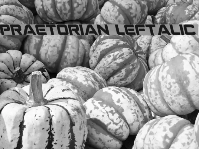 Praetorian Leftalic  examples