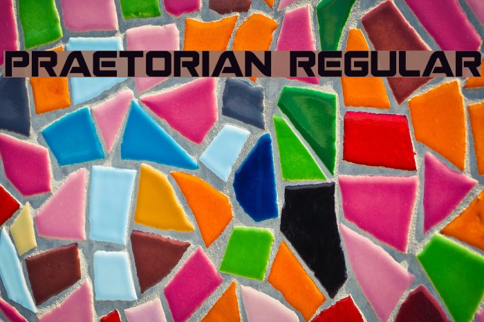 Praetorian Regular Example 1