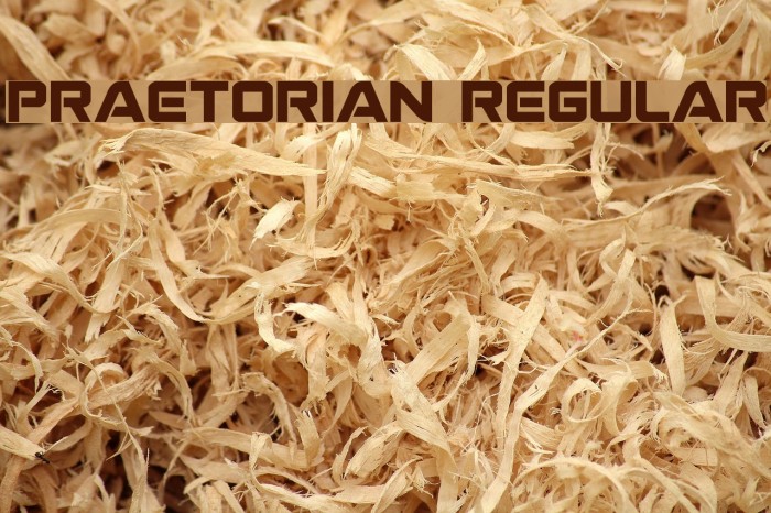 Praetorian Regular Example 2